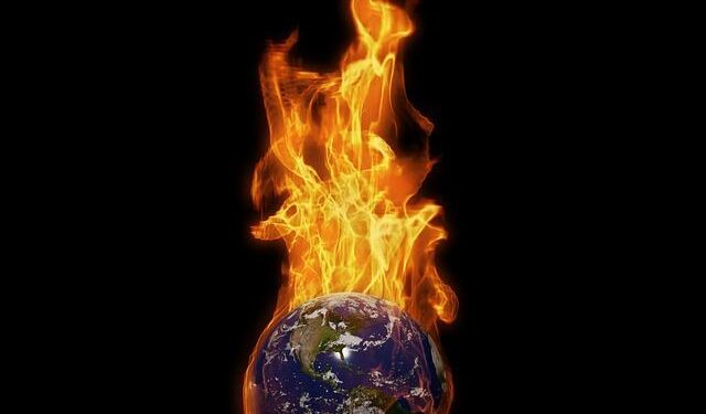 Fire ecology photo winners 2025 – wildfiretoday.com