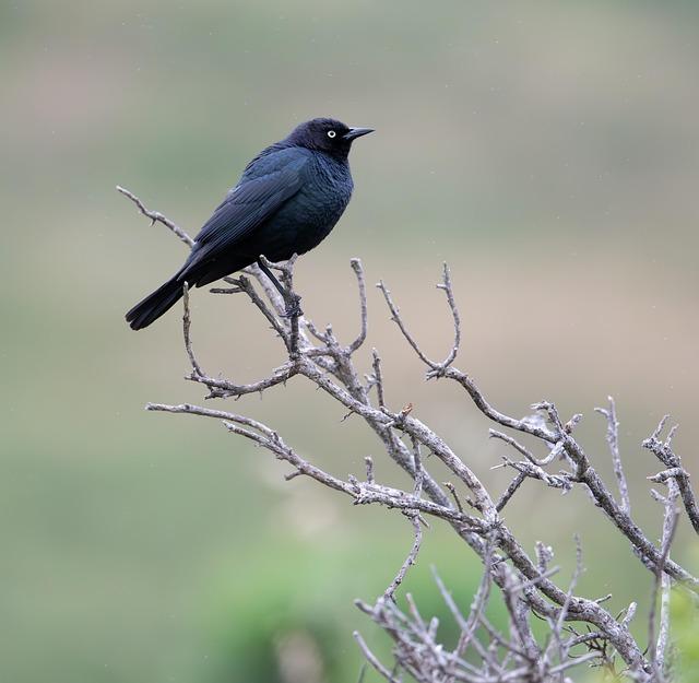 Remember a Brewer: Dave May – Yahoo Sports