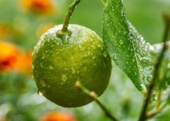 Scientists Confirm the Incredible Existence of ‘Second Sound’ – Popular Mechanics