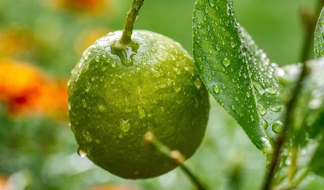 Scientists Confirm the Incredible Existence of ‘Second Sound’ – Popular Mechanics