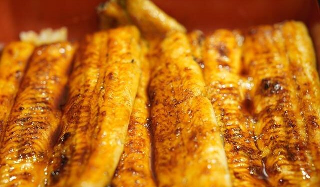 Congregation of cusk‐eels (Genypterus chilensis, Ophidiiformes) at a deep‐sea methane seep off Chile – ESA Journals