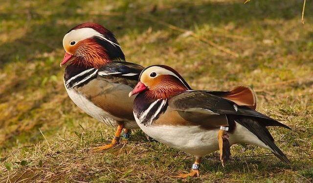 Why military, economic, and political tensions between China and Japan will not be resolved soon – Milwaukee Independent