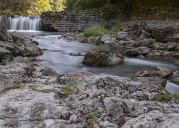 Why one long walk may be better than many short ones – ScienceDaily