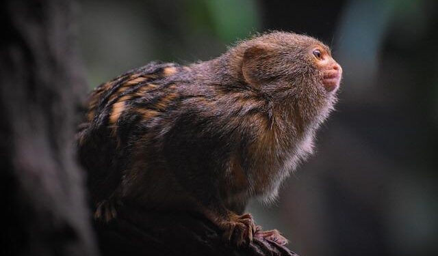 ‘Weird Science’ star makes rare appearance since leaving Hollywood after Steven Seagal divorce – Entertainment Weekly