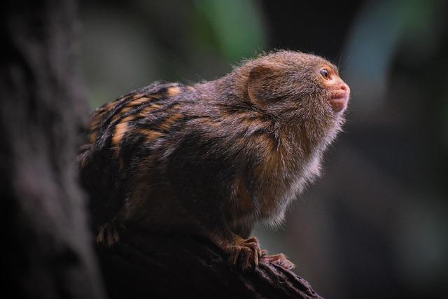 ‘Weird Science’ star makes rare appearance since leaving Hollywood after Steven Seagal divorce – Entertainment Weekly