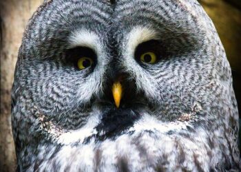 Bart Story Dies: Veteran Entertainment Research Executive Was 63 – Deadline