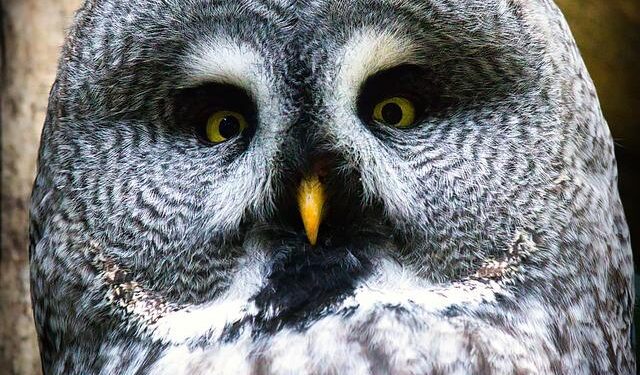 Bart Story Dies: Veteran Entertainment Research Executive Was 63 – Deadline