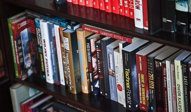 Top 10 science and tech news stories of 2025 – news.cgtn.com