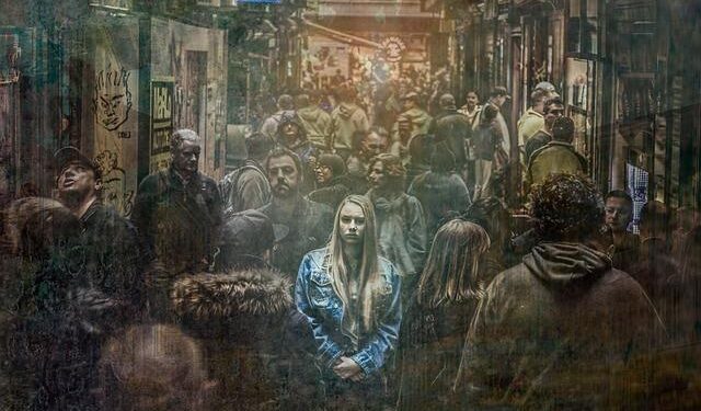 Cyclosa Menge, 1866 (Araneidae) Orb-Weavers Build Stabilimenta That Resemble Larger Spiders – Wiley Online Library