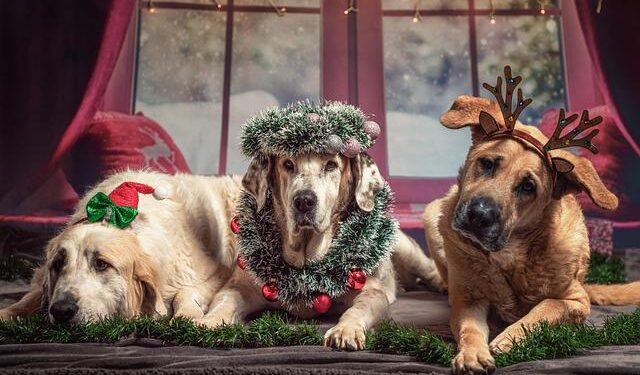 Santa The Economic Terrorist – The Daily Economy