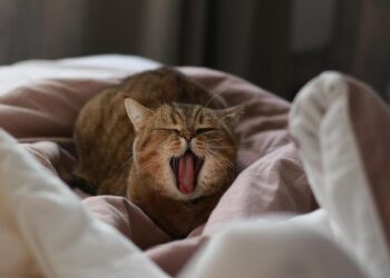 Science history: James Webb Space Telescope launches — and promptly cracks our view of the universe — Dec. 25, 2021 – Live Science