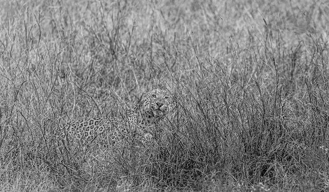 Video | Aravalli Hills News | Mining, Livelihoods And Ecology: Inside The Growing Aravalli Debate – NDTV