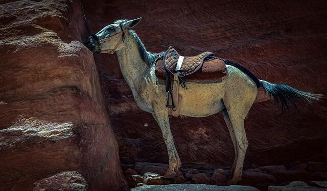 Speciesism: the bias you never knew you had – VegOut