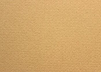 Ecological myopia: the blind spot holding back climate action – The Conversation