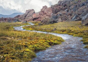 Russia’s War Economy Falters as Civilian Industries Slide Into Deep Decline – UNITED24 Media