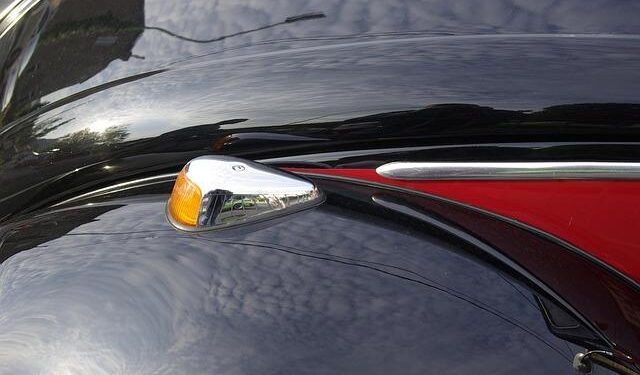 10 things we learned about our human ancestors in 2025 – Live Science