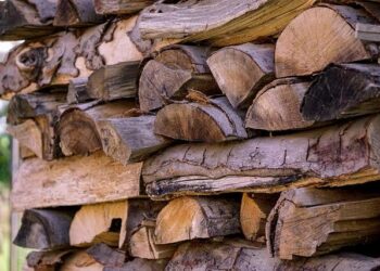 Rigorous validation of ecological models against empirical time series – Nature