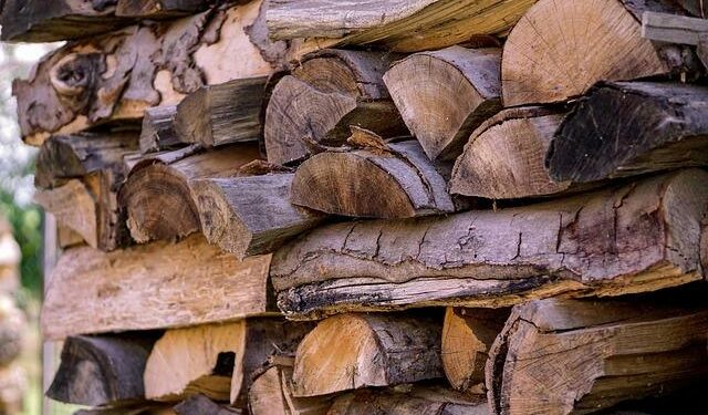 Rigorous validation of ecological models against empirical time series – Nature