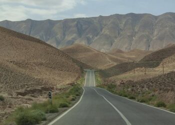 Bulloch Health & Restaurant Inspections – Dec. 22-27, 2025 – The Georgia Virtue