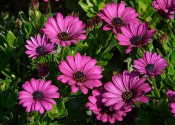 Winter break fun at the Cape Fear Museum of History and Science – Wilmington Star-News