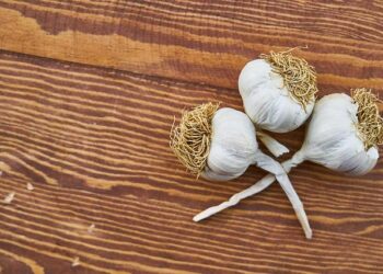 The Rise Of Lifestyle Diseases Among Young Indians: The Road Ahead For Treatment – BW Healthcare