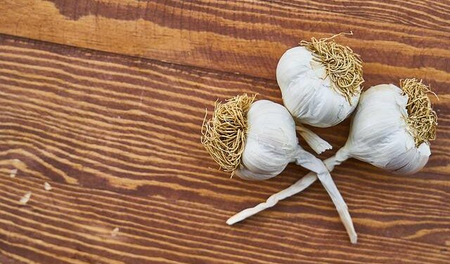 The Rise Of Lifestyle Diseases Among Young Indians: The Road Ahead For Treatment – BW Healthcare