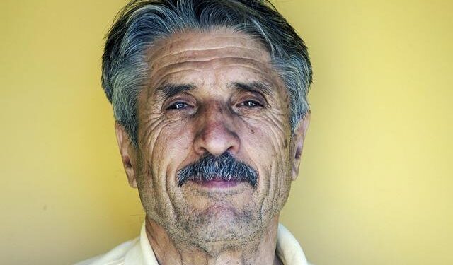 We may finally have a way to reverse grey hair – BBC Science Focus Magazine