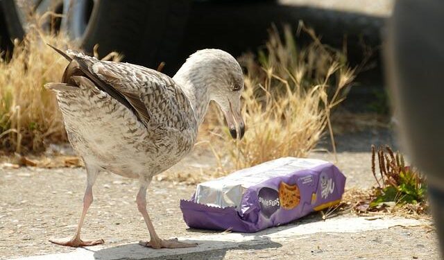 There’s a Surprisingly Easy Way to Remove Microplastics in Drinking Water – ScienceAlert