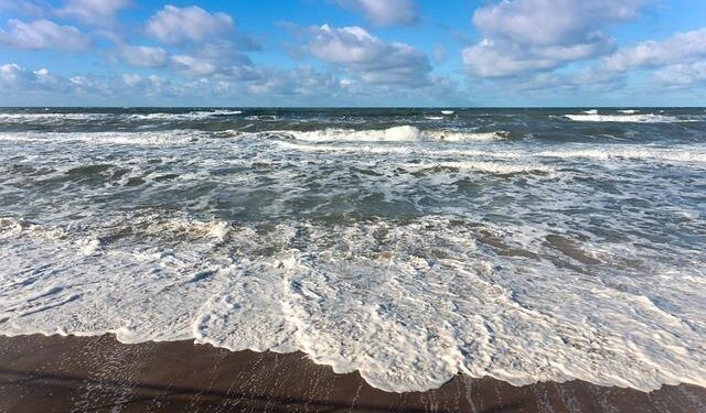 Using Movement Ecology to Connect Individuals, Communities, and Ecosystems – besjournals