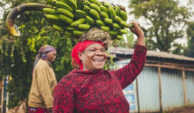 Carrying Capacity Alert Index Gauges African Grassland Sustainability – Bioengineer.org