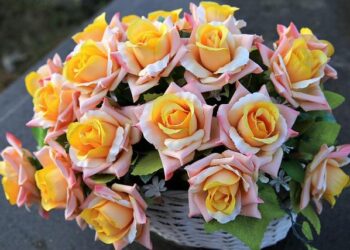 From fake heiress to fugitive: Former employees detail alleged long con blamed on true crime producer – NBC News