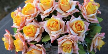 From fake heiress to fugitive: Former employees detail alleged long con blamed on true crime producer – NBC News