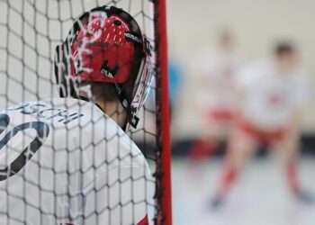 New Jersey Sports Betting June 2026: Record $917M Handle, Hold Falls – rg.org