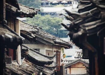 China issues judicial interpretation on Ecological and Environmental Code – China Daily