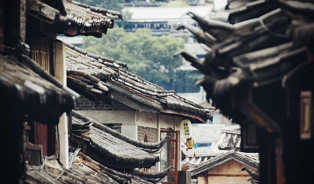 China issues judicial interpretation on Ecological and Environmental Code – China Daily