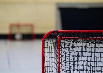 Reporter’s Notebook: A Hockey Fan’s World Cup – highlandscurrent.org