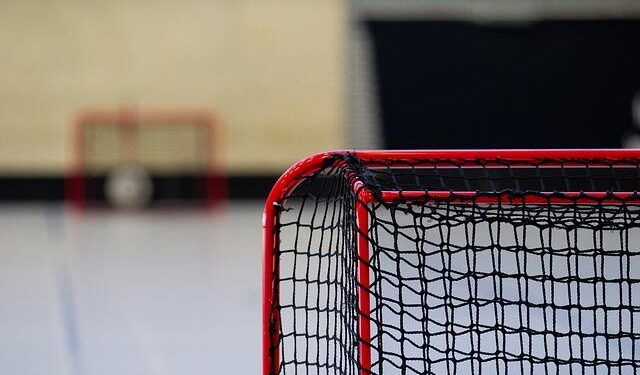 Reporter’s Notebook: A Hockey Fan’s World Cup – highlandscurrent.org
