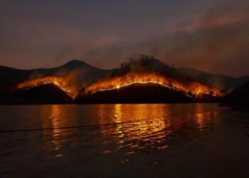 Explosive wildfire activity spreads smoke across Washington – Department of Ecology – State of Washington (.gov)