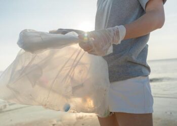 The World’s Largest Volunteer Event Comes to Santa Barbara County Saturday, September 19 – The Santa Barbara Independent