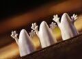 Fanta Brings Halloween to Life With an All-New Entertainment Universe – coca-colacompany.com